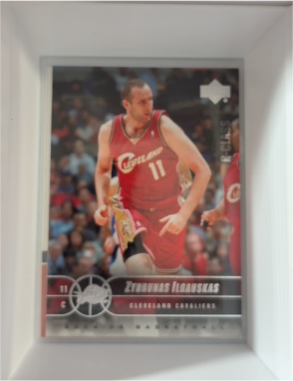 2004-05 Upper Deck R-Class #15 Zydrunas Ilgauskas — front