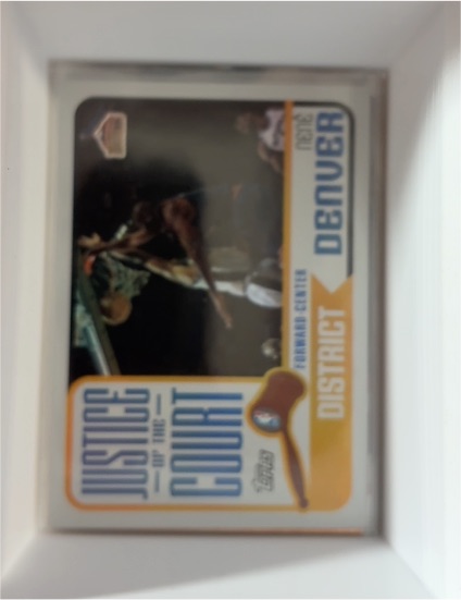 2003-04 Topps Justice of the Court #JC-10 Nene — front