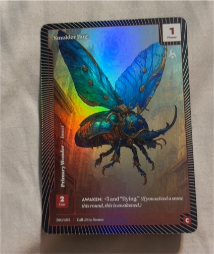 Wonders of the First 2025 Smolder Bug #581/602 — front