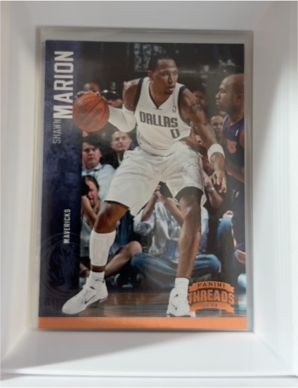 2012-13 Panini Threads #26 Shawn Marion — front