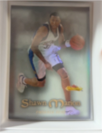 1999-00 Topps Gold Label #94 Shawn Marion — front