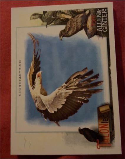 2023 Topps Allen & Ginter #TT-11 Secretarybird — front