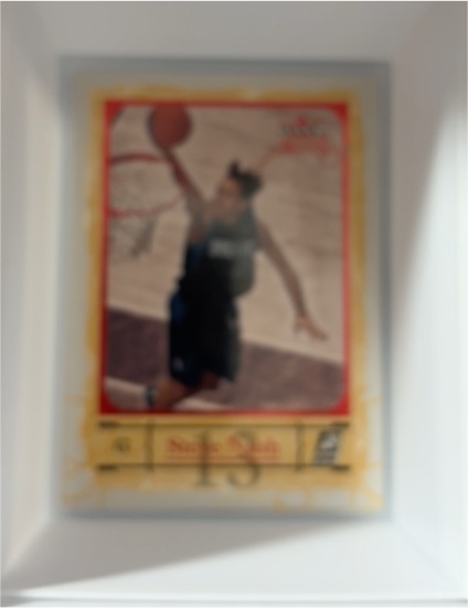 2006-07 Topps Turkey Red #13 Nate Robinson — front