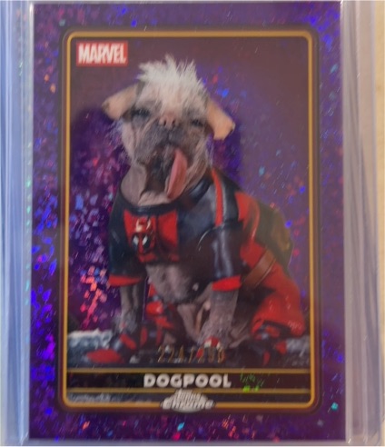 2025 Topps Chrome Marvel Deadpool #28 Dogpool — front