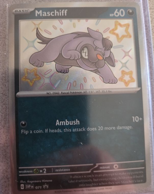 2024 Pokémon SV: Scarlet & Violet Promo #071 Maschiff — front