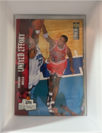1995 Upper Deck Collector's Choice #369 Scottie Pippen — front