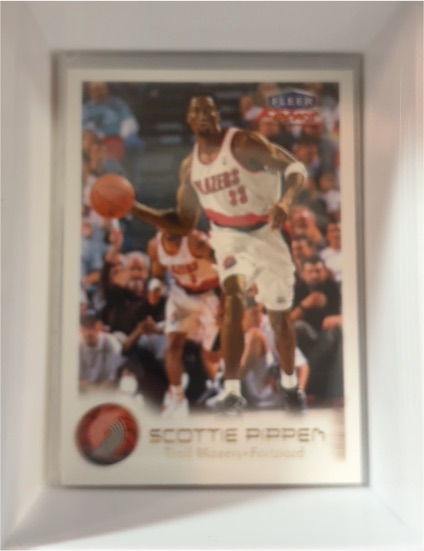 1999-00 Fleer Focus #25 Scottie Pippen — front