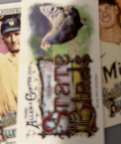 2025 Topps Allen & Ginter #SB-15 Eastern Screech Owl State Birds Insert — front