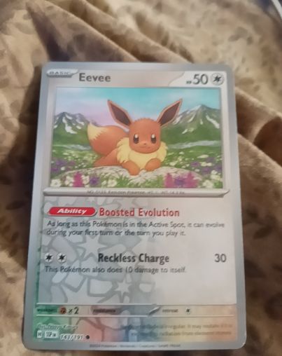 2025 Pokemon Day #74 Eevee — front
