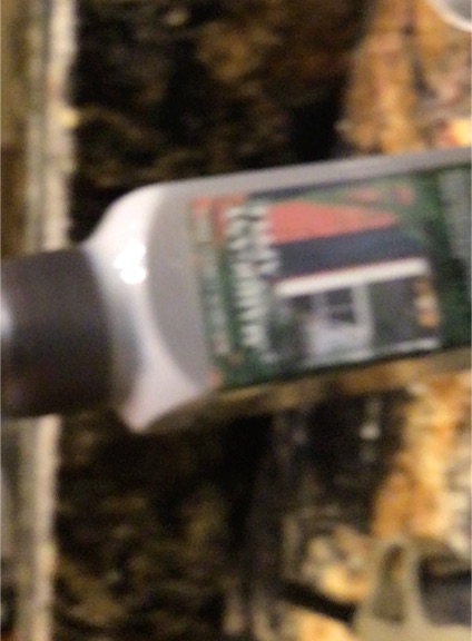 Bath & Body Works Bright Christmas Morning Body Lotion 8oz — front