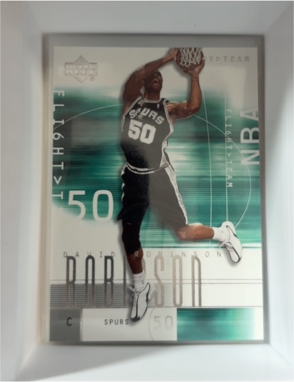 2001-02 Upper Deck Flight Team #81 David Robinson — front