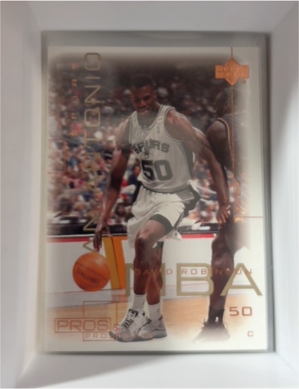 2000-01 Upper Deck Pros & Prospects #74 David Robinson — front