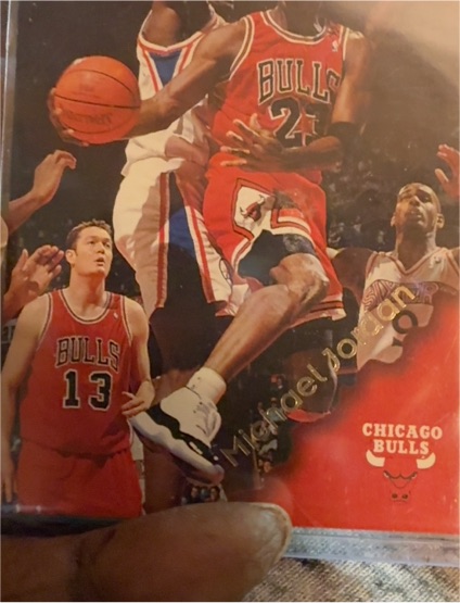 1996-97 SkyBox NBA Hoops #20 Michael Jordan — front