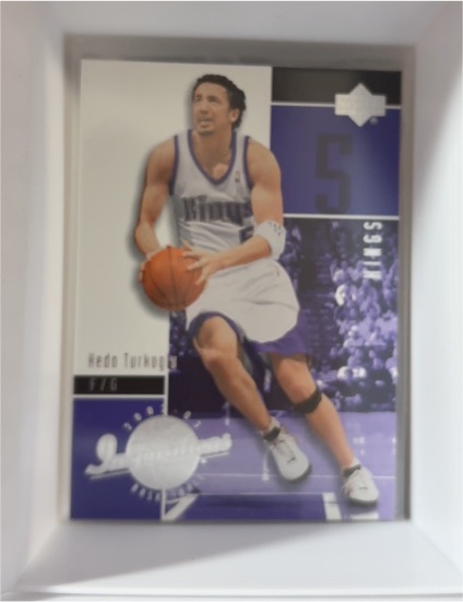 2002-03 Upper Deck Inspirations #74 Hedo Turkoglu — front