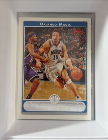 2006-07 Topps #213 Hedo Turkoglu — front