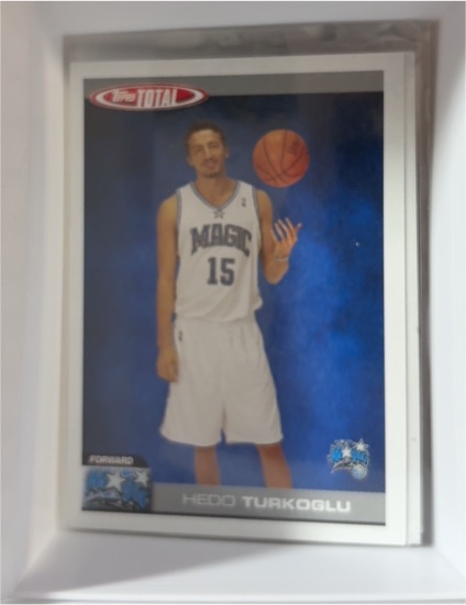 2006-07 Topps Total #213 Hedo Turkoglu — front
