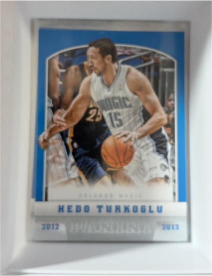 2012-13 Panini #71 Hedo Turkoglu — front