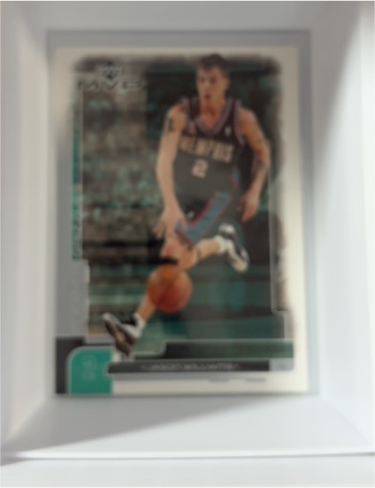 1995-96 SP #38 Bryant Reeves Premium Collection Holoview — front