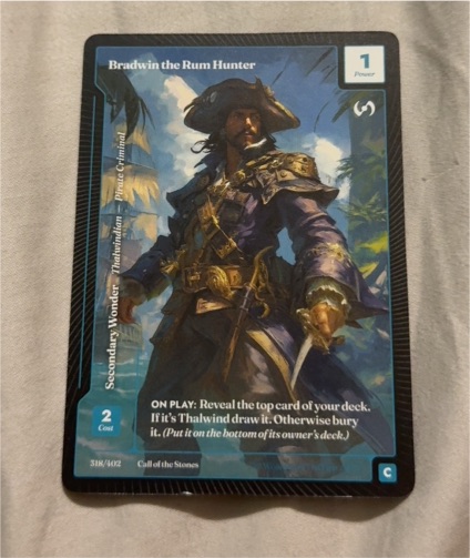 Call of the Stones #318 Bradwin the Rum Hunter — front