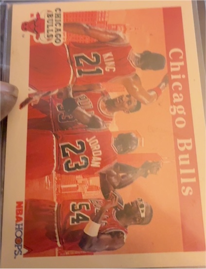 1992 NBA Hoops #269 Chicago Bulls Team — front