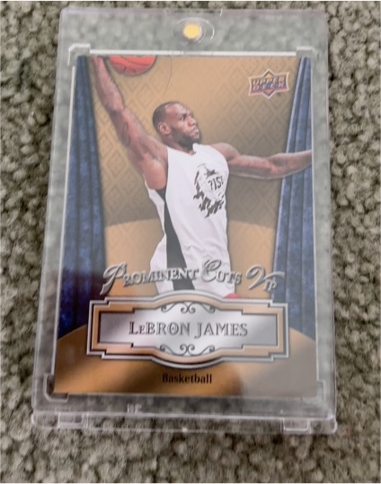 2016 Upper Deck National Sports Convention Prominent Cuts VIP #VIP-4 LeBron James — front