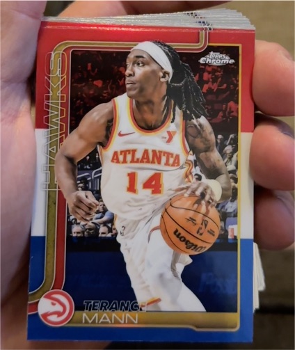 2025-26 Topps Chrome #9 Terance Mann — front