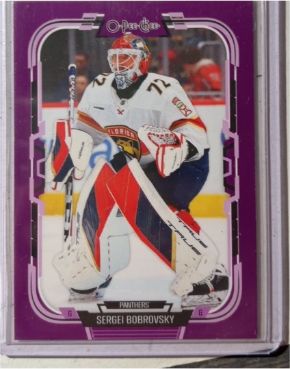 2025-26 O-Pee-Chee #267 Sergei Bobrovsky Florida Panthers — front