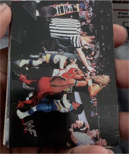 1998 Comic Images WWF Superstarz The Road Warriors — front
