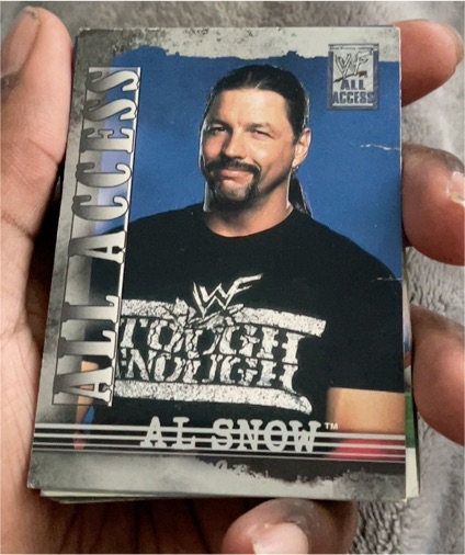 2002 Fleer WWF All Access #22 Al Snow — front