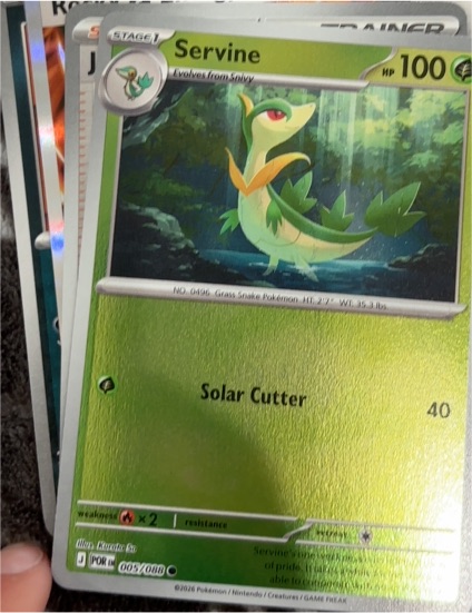 2016 Pokémon ME03 Perfect Order #005 Servine — front