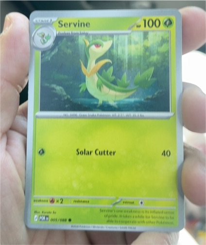 2022 Pokémon Perfect Order #005 Servine — front