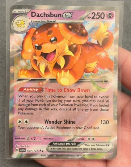 2024 Pokémon #067 Dachsbun ex — front