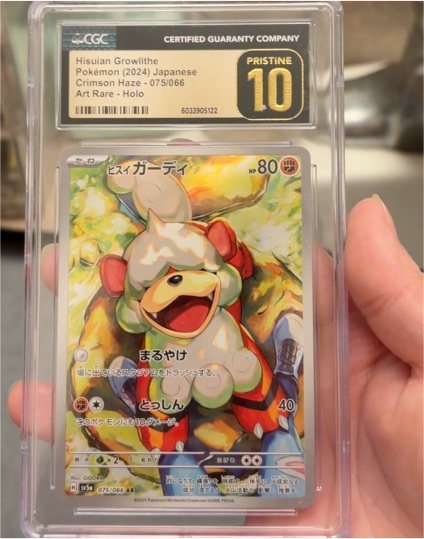 2024 Pokémon #075 Hisuian Growlithe Crimson Haze — front