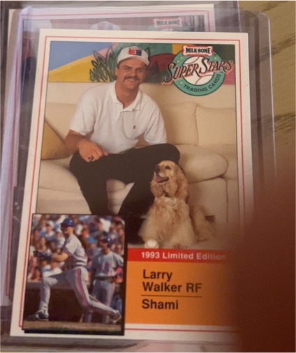 1993 Milk Bone Super Stars #15 Larry Walker — front