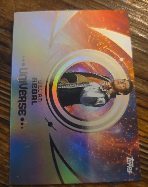 2025 Topps Universe WWE #193 William Regal — front