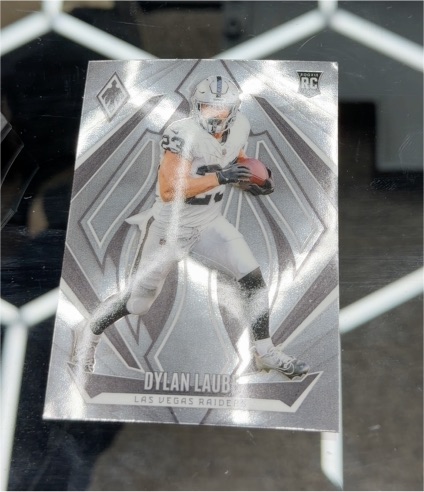 2024 Panini Phoenix #180 Dylan Laube — front