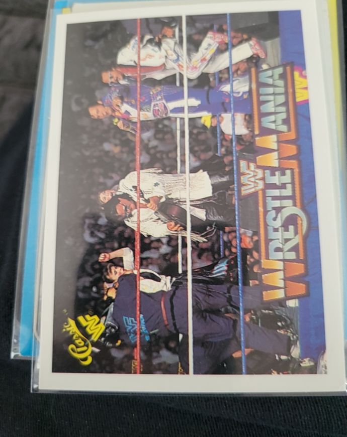 1990 Classic WWF #139 Rhythm & Blues — front