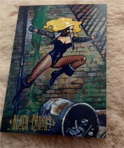 1994 Skybox Master Series DC #87 Black Canary — front