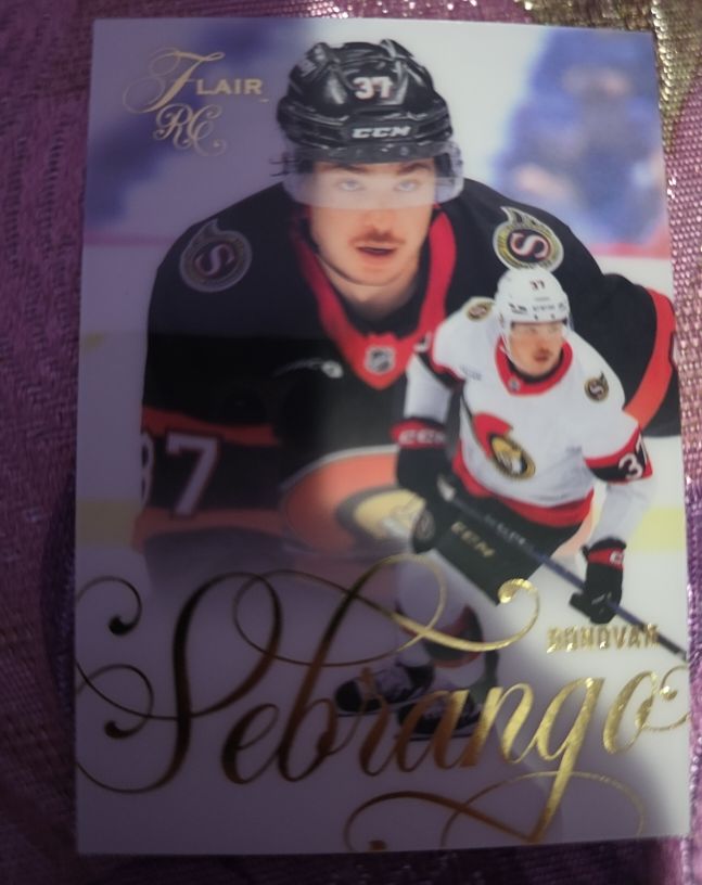 2025-26 Upper Deck Flair #159 Donovan Sebrango Rookie Ottawa Senators — front