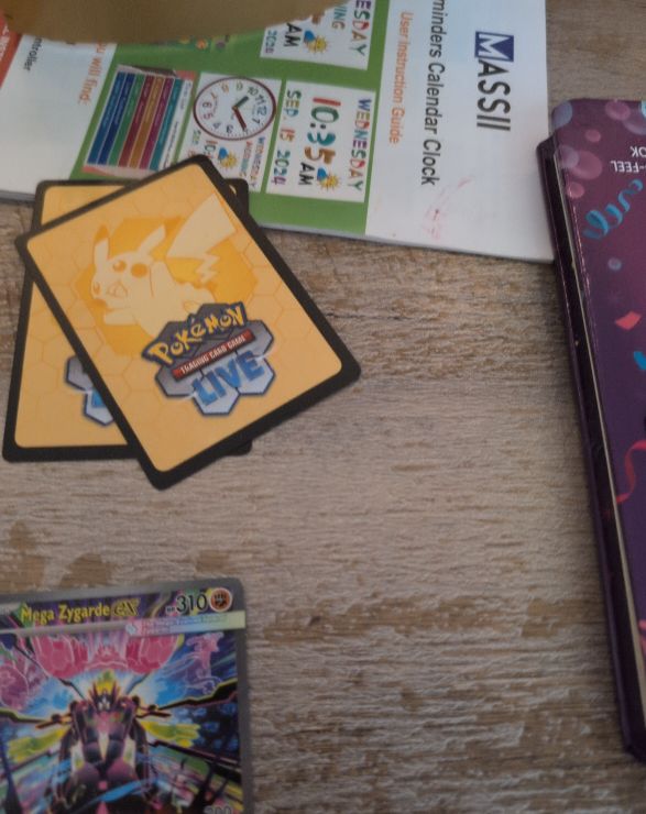 2017 Pokémon TCG SM Black Star Promo #22 Mega Zygarde GX — front