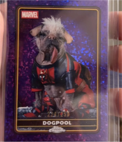 2025 Topps Chrome Deadpool #28 Dogpool — front