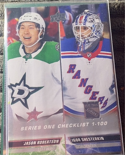 2022-23 Upper Deck Series 1 #199 Checklist Jason Robertson Igor Shesterkin — front