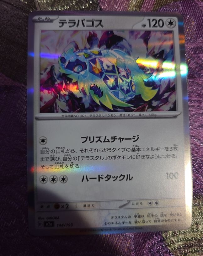 2023 Pokémon Mega Dream ex #144 Terapagos — front