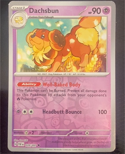 2024 Pokémon #039 Dachsbun — front