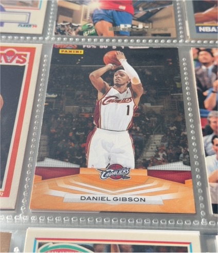 2009-10 Panini #61 Daniel Gibson — front