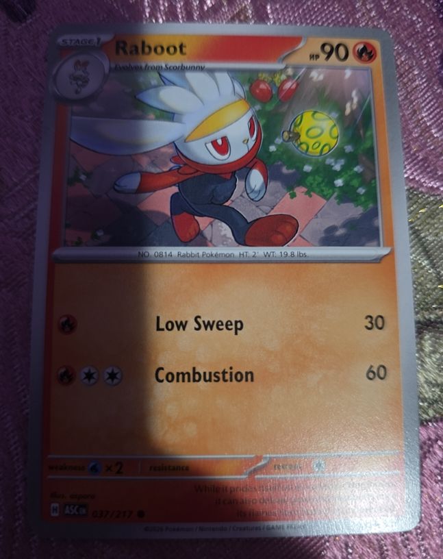 2024 Pokémon #037 Raboot — front