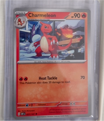 2022 Pokemon TCG #027 Charmeleon — front