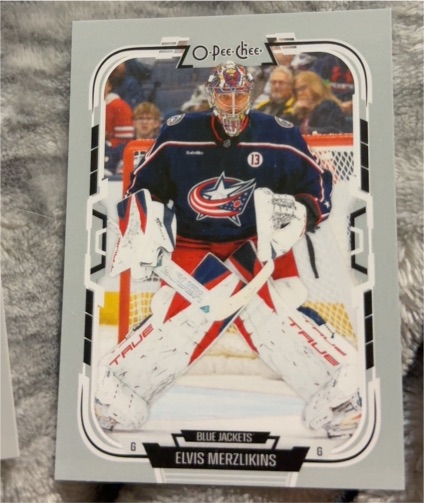 2025-26 O-Pee-Chee #377 Elvis Merzlikins — front