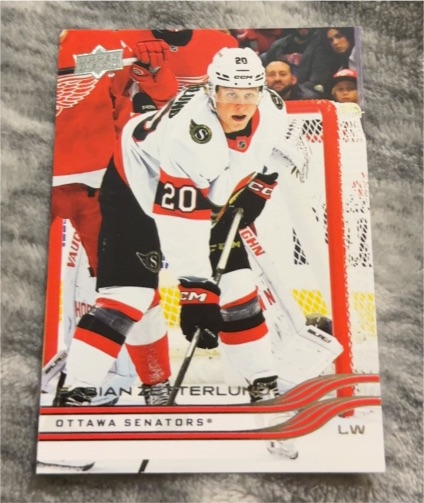 2025-26 Upper Deck #371 Fabian Zetterlund — front
