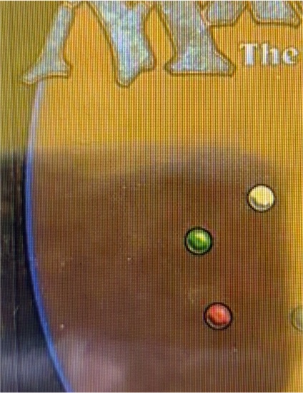 1995 Magic: The Gathering Fourth Edition Rulebook — front